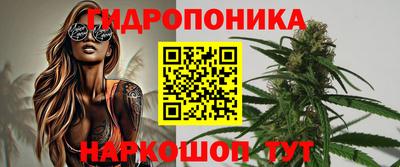 apvp Краснодар
