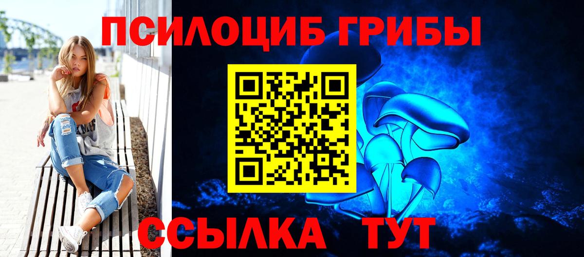 Псилоцибиновые грибы Cubensis Старая Купавна