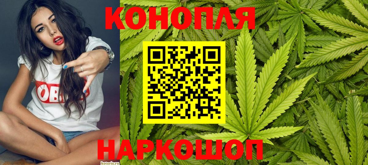 Старая Купавна  Шишки марихуана конопля  Конопля Amnesia  Бошки марихуана планчик  Шишки марихуана план  Вход с VPN 
